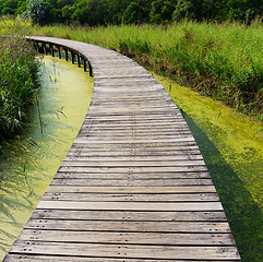 Image showing Wooden bridge in jungle