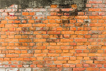 Image showing Old brick wall texture
