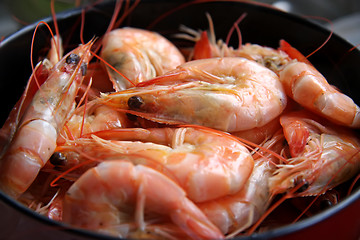 Image showing Whole cooked prawns