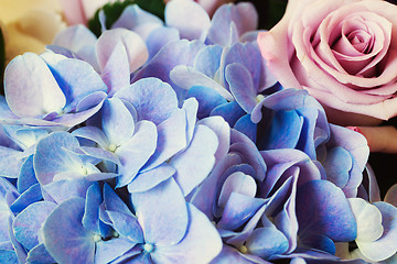 Image showing Blue Hydrangea and purple rose
