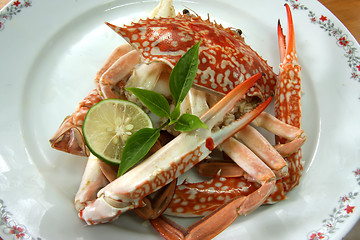 Image showing Cooked crab