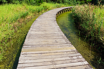 Image showing Wooden path on jungle