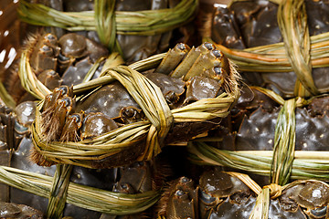 Image showing Uncooked hairy crabs