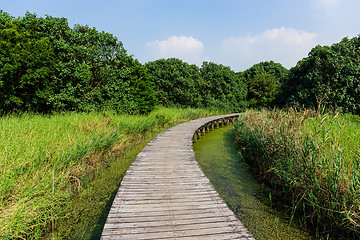 Image showing Walking path in wetland