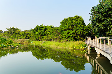 Image showing Natural landscape