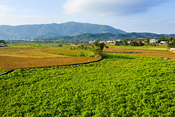 Image showing Farmland