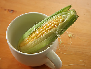 Image showing Fresh ears of corn