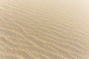 Image showing Sand texture