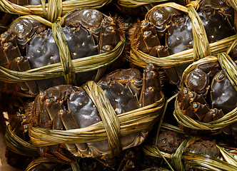 Image showing Chinese hairy crabs