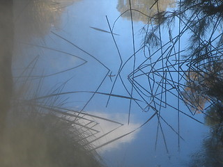 Image showing steamy lake