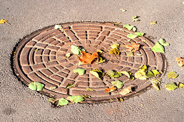 Image showing Manhole under a colorful dry autumn leaves