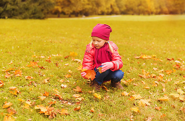 Image showing happy little girl colecting autumn maple leaves