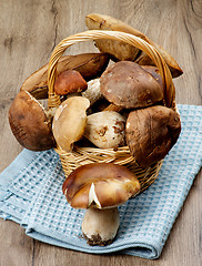 Image showing Forest Mushrooms