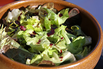 Image showing Garden salad