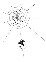 Image showing spider and cobweb