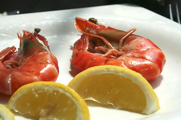 Image showing Cooked prawns