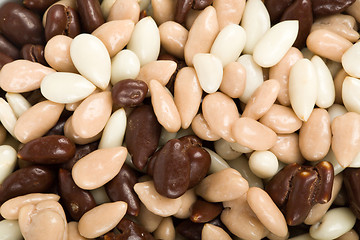 Image showing nuts in chocolate