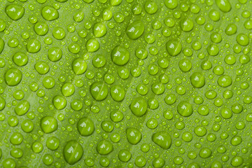 Image showing water drops on green plant leaf 