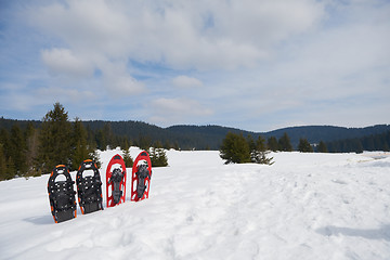 Image showing winter snowshoes