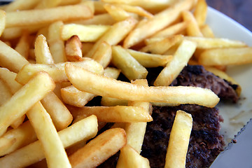 Image showing Fries on meat