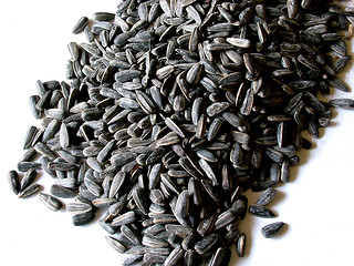 Image showing Sunflower Seeds