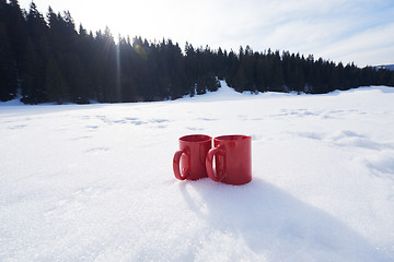 Image showing couple having fun and walking in snow shoes