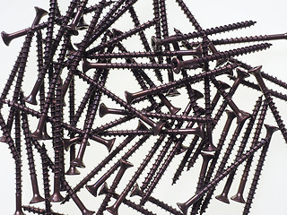 Image showing Wood screw