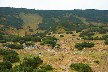 Image showing motocross