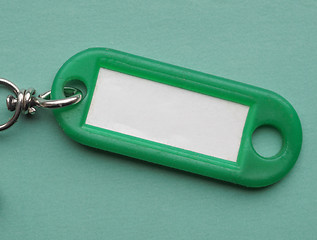 Image showing Green keyring