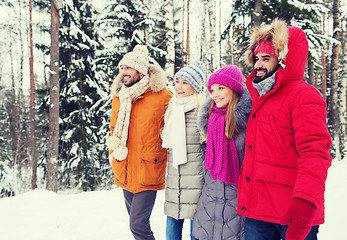 Image showing group of smiling men and women in winter forest