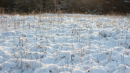 Image showing Winter scene