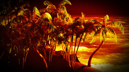 Image showing Tropical paradise at night