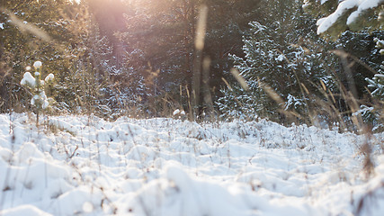 Image showing Winter scene