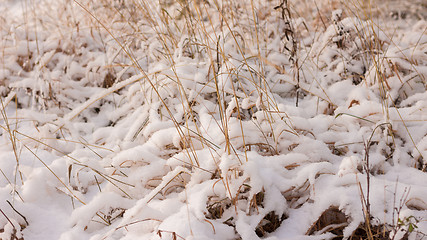 Image showing Winter scene