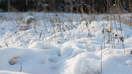 Image showing Winter scene