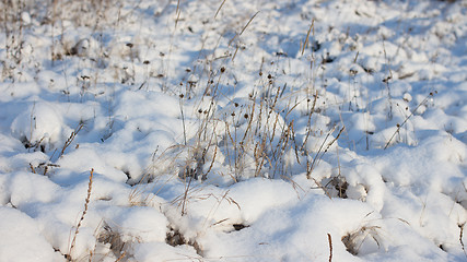 Image showing Winter scene