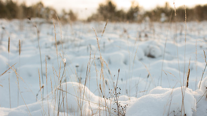 Image showing Winter scene