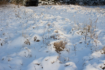 Image showing Winter scene