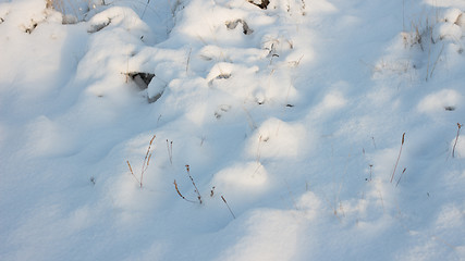 Image showing Winter scene