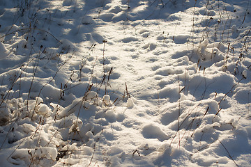 Image showing Winter scene