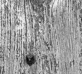 Image showing abstract texture of a brown antique wooden old door in italy   e