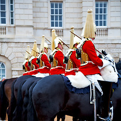 Image showing in london england horse and cavalry for  the queen