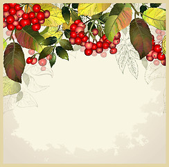 Image showing Greeting card with autumn berries and leaves. Autumn illustratio