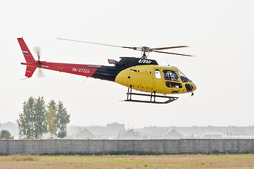 Image showing Pilot of Eurocopter AS-350 on airshow