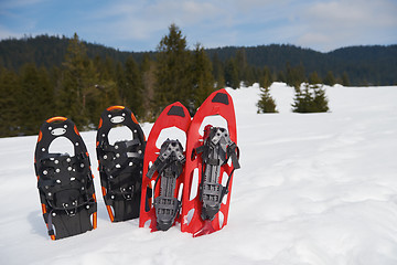 Image showing winter snowshoes