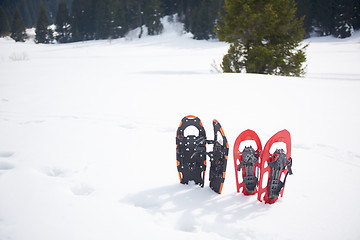 Image showing winter snowshoes