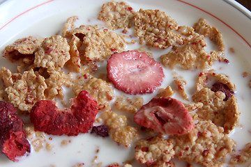 Image showing Raspberry breakfast cereal