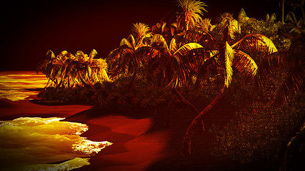 Image showing Tropical paradise at night