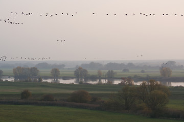 Image showing Elbe Valley