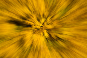Image showing Blurred Autumn Leaf